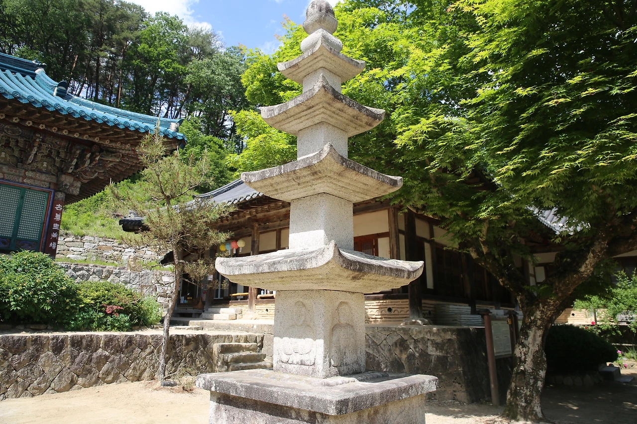 MG0A9393_новый размер.JPG