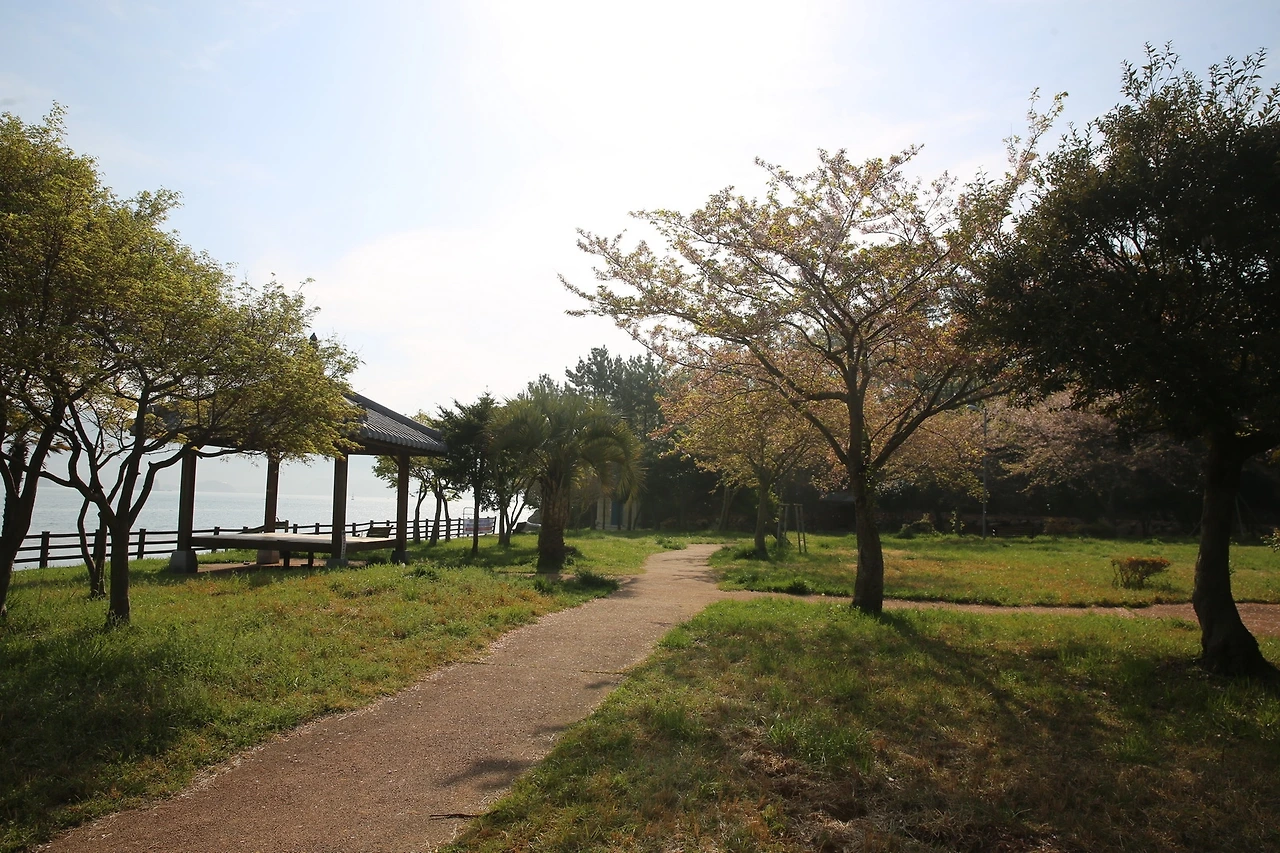 MG0A8983_новый размер.JPG