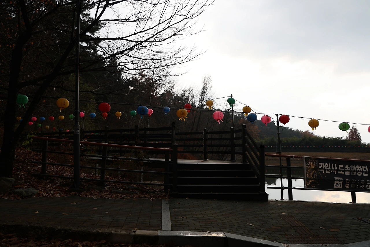 0R5A3837_новый размер.JPG