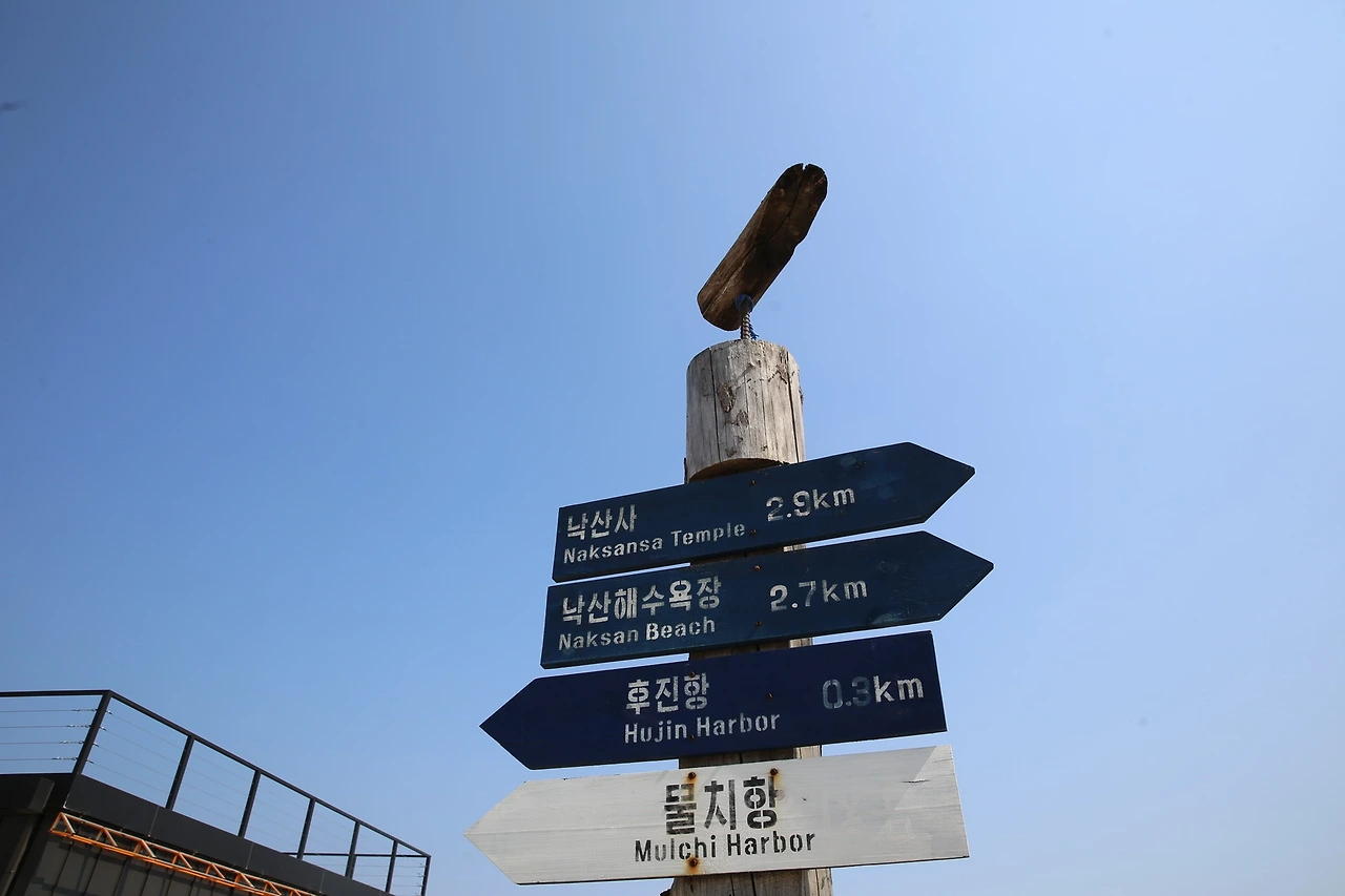 MG0A5283_новый размер.JPG