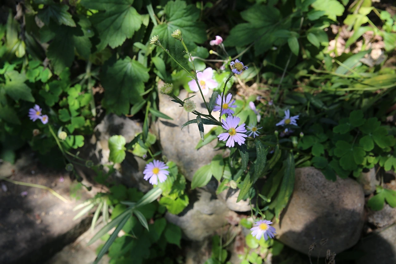 MG0A0897_новый размер.JPG