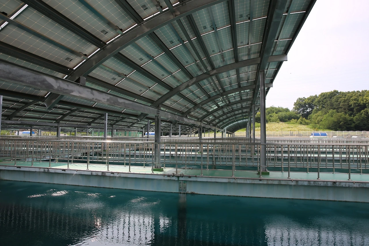 MG0A8081_новый размер.JPG