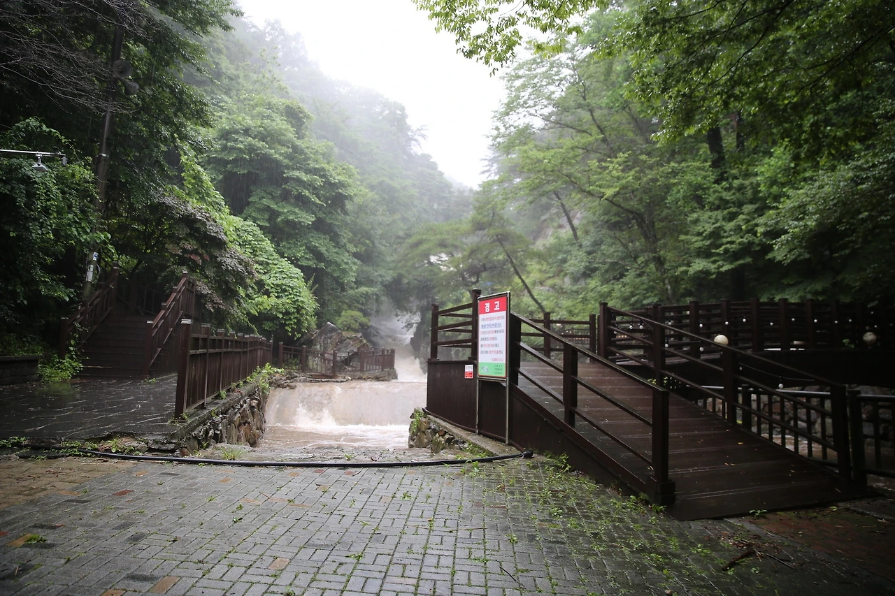 MG0A3348_новый размер.JPG