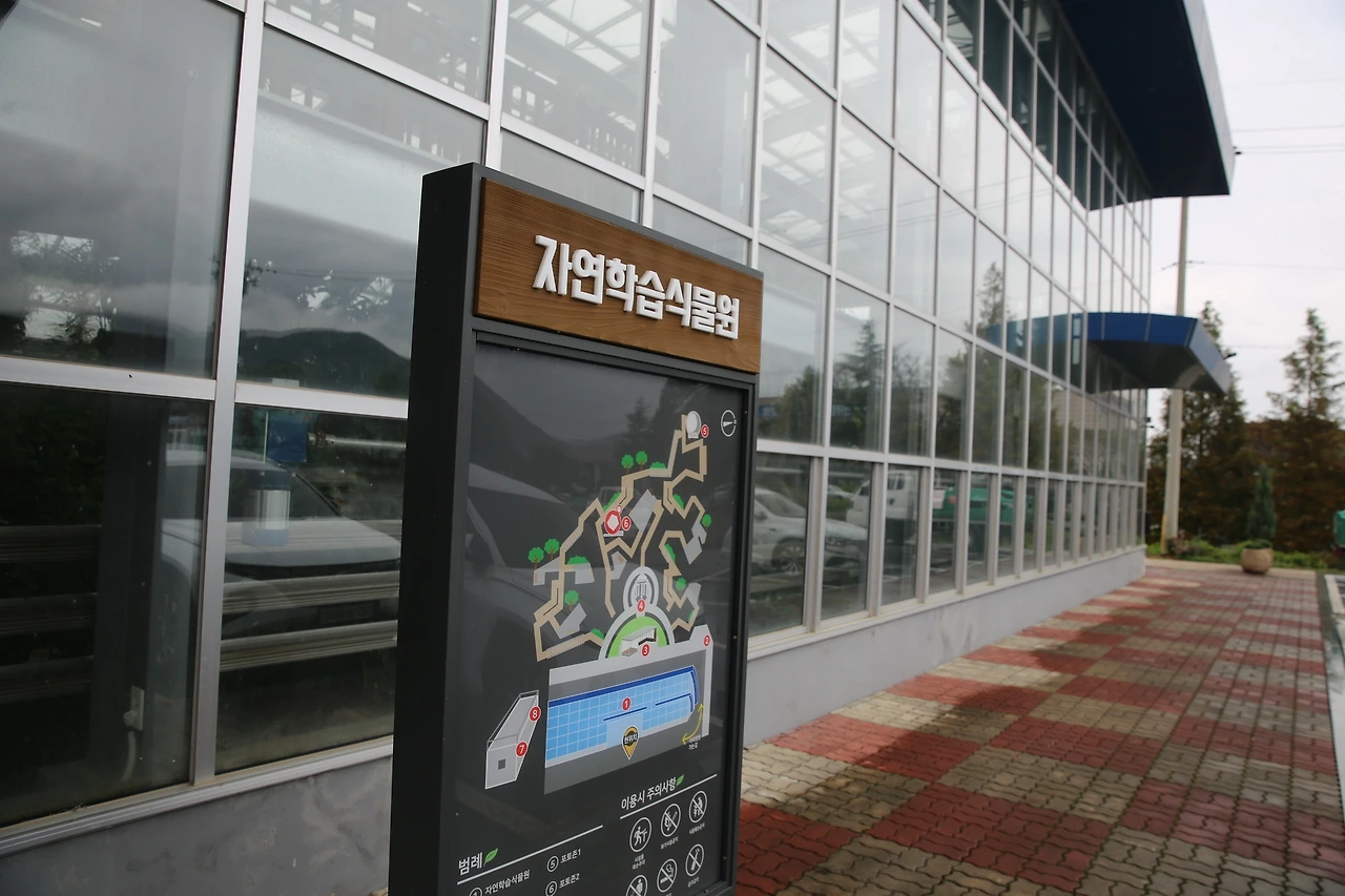 MG0A5028_новый размер.JPG