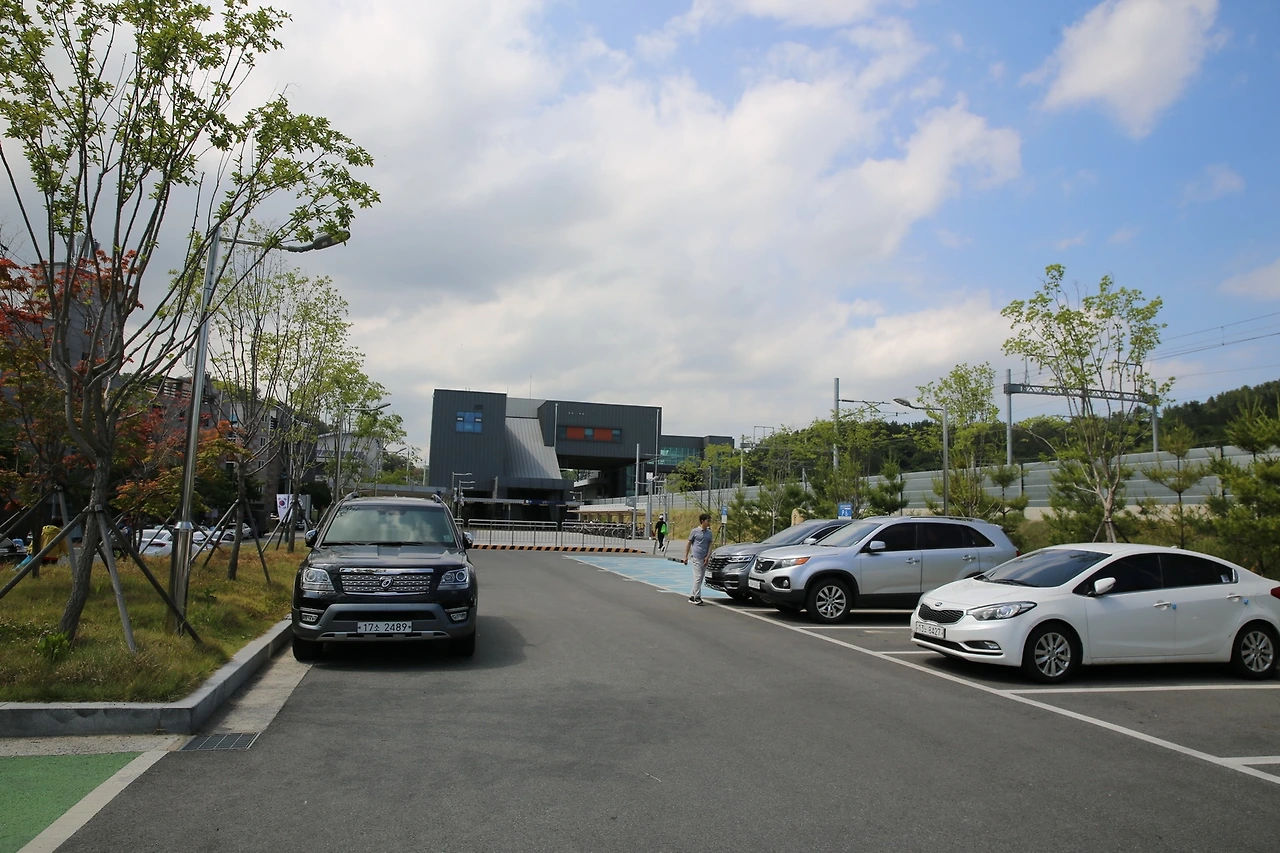 MG0A5934_новый размер.JPG