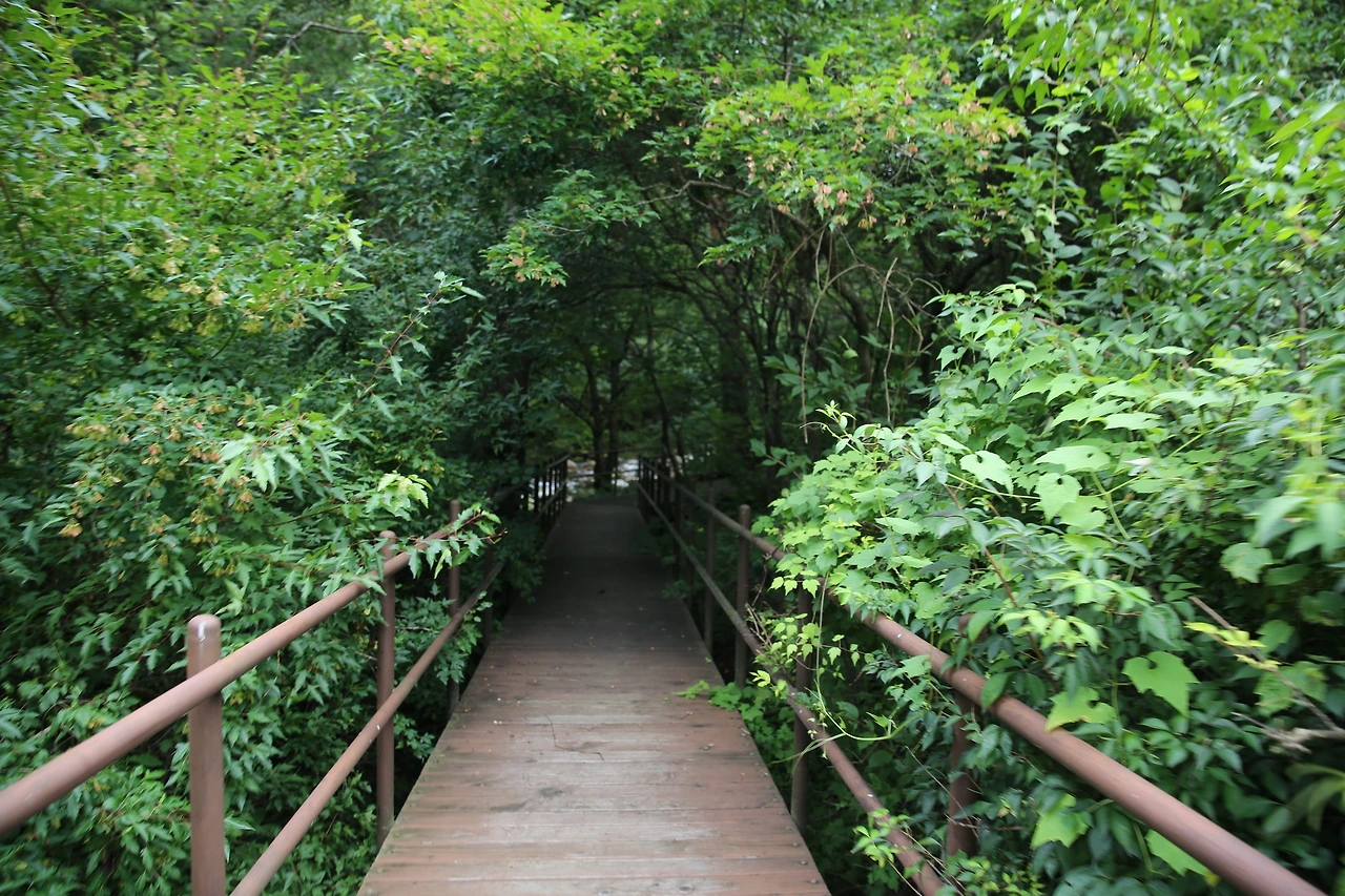 MG0A5033_новый размер.JPG