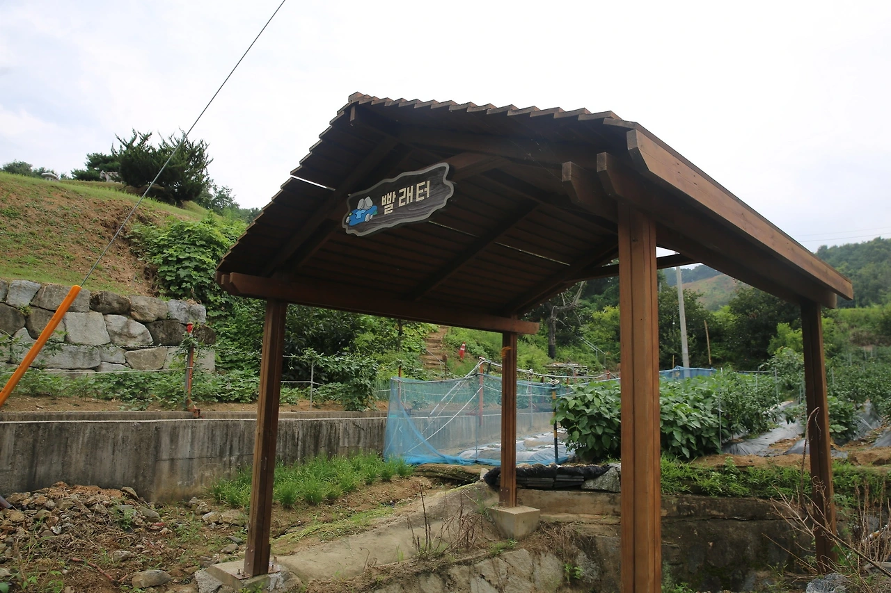 MG0A9644_новый размер.JPG