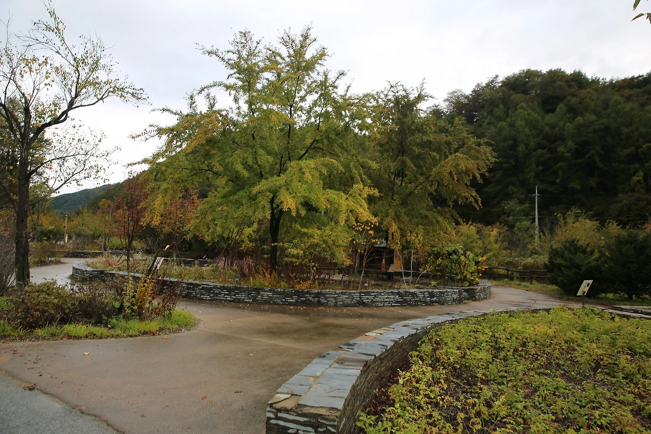 MG0A6250_новый размер.JPG