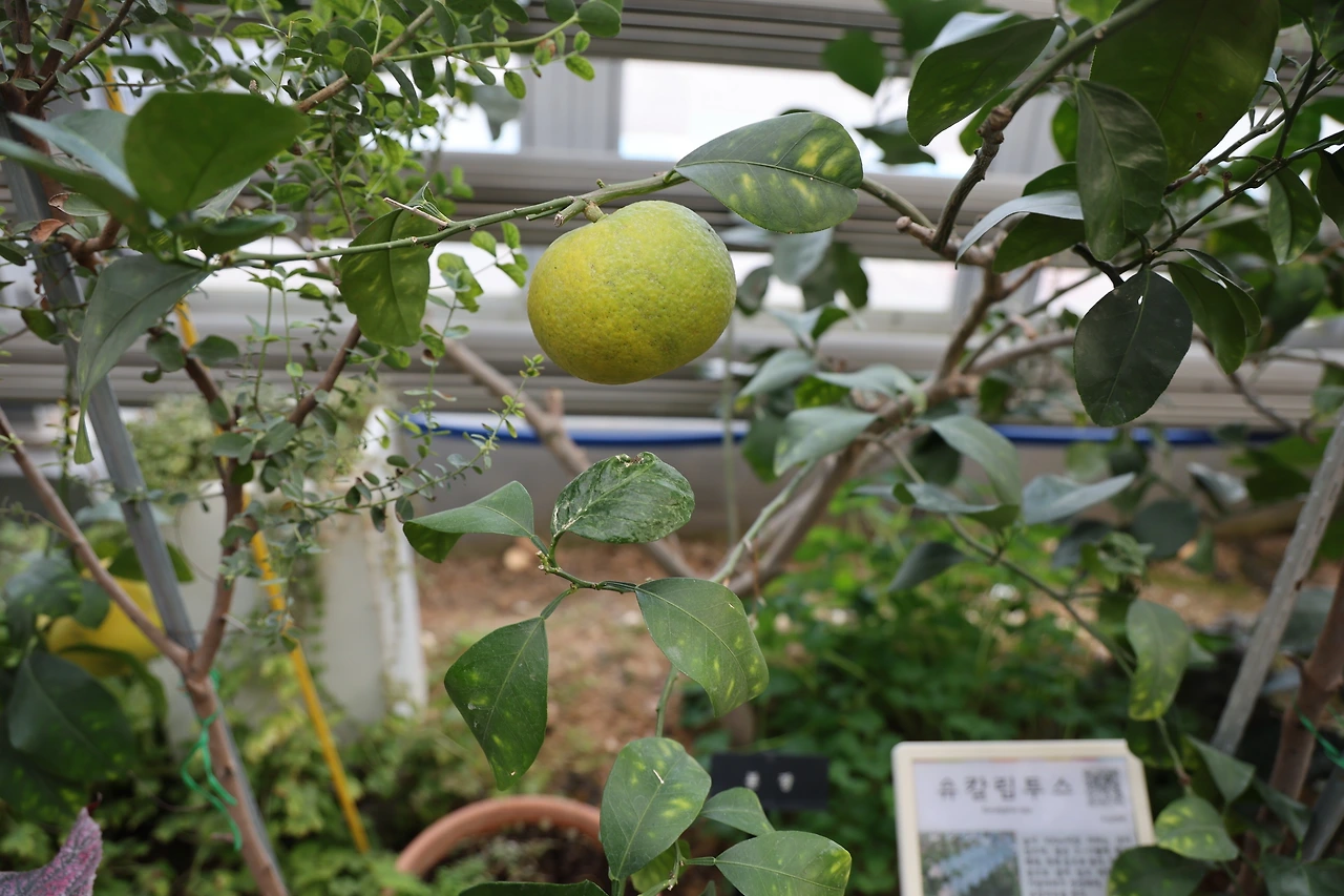 0R5A5026_новый размер.JPG