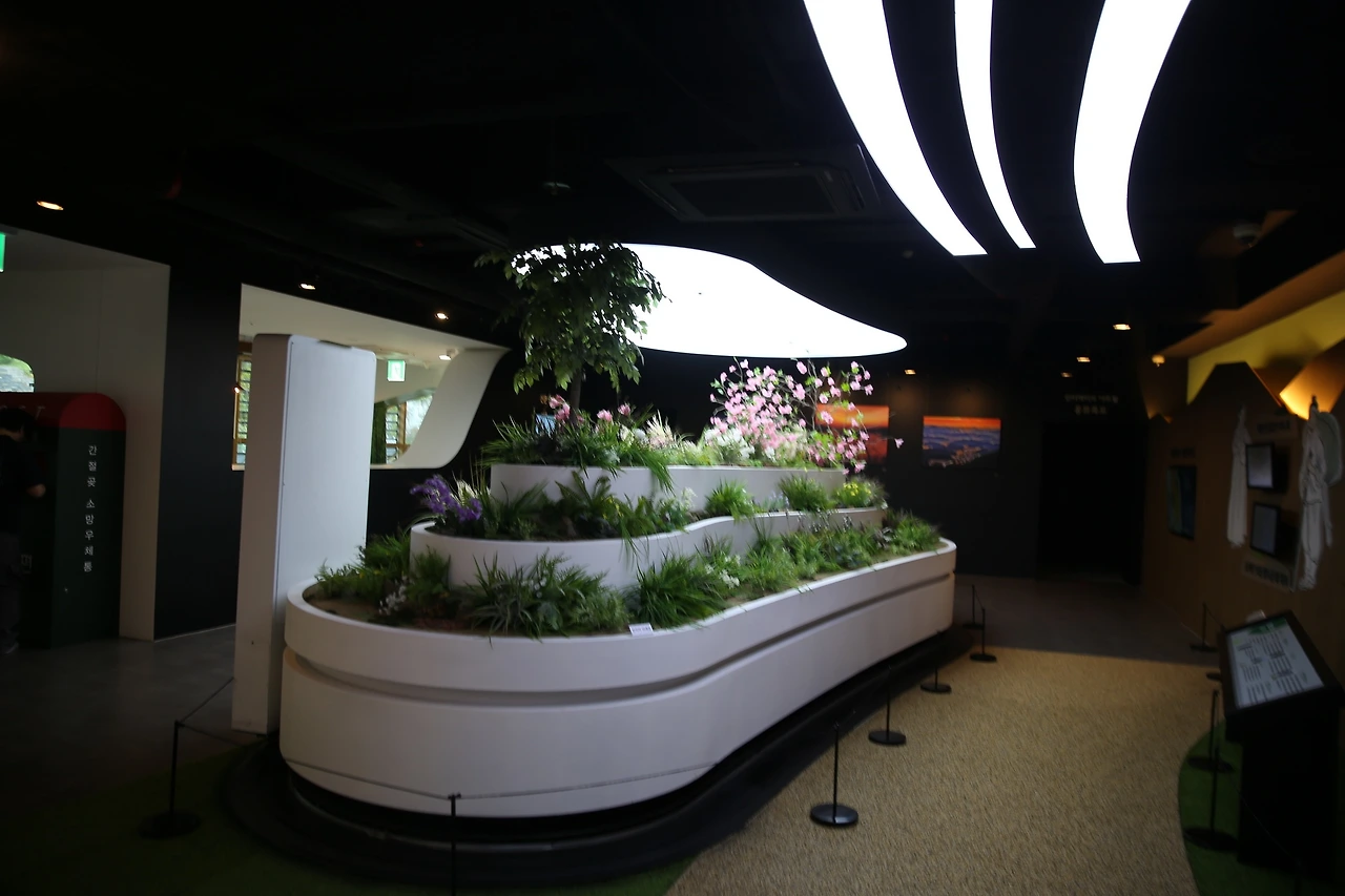 MG0A4436_новый размер.JPG