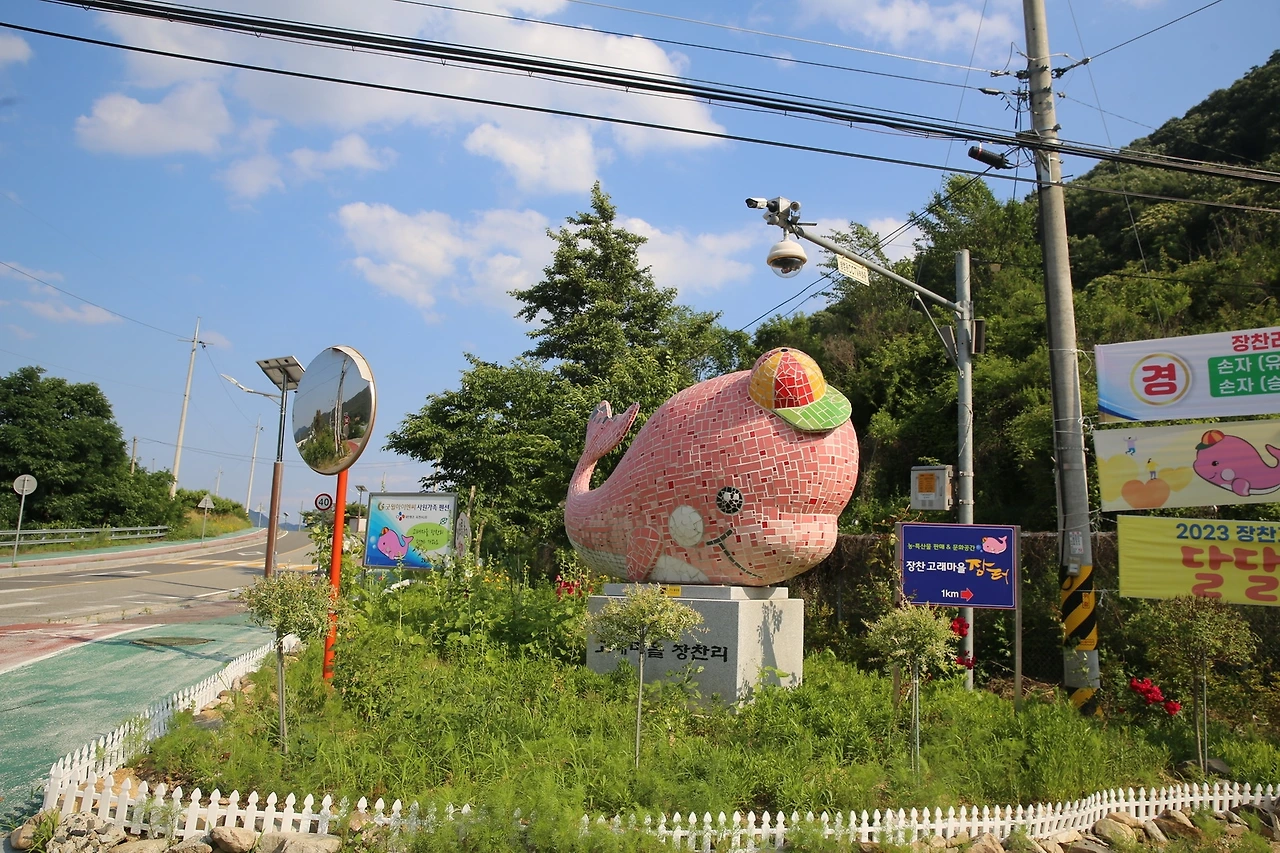 MG0A1622_новый размер.JPG