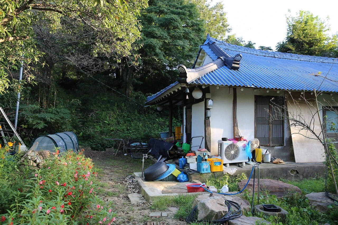 MG0A1376_новый размер.JPG