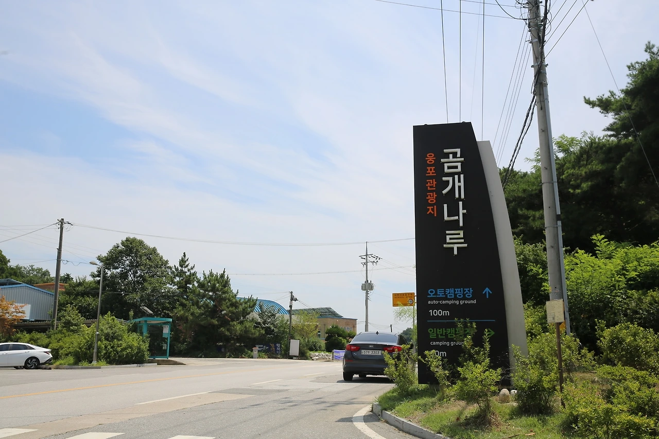 MG0A4497_новый размер.JPG