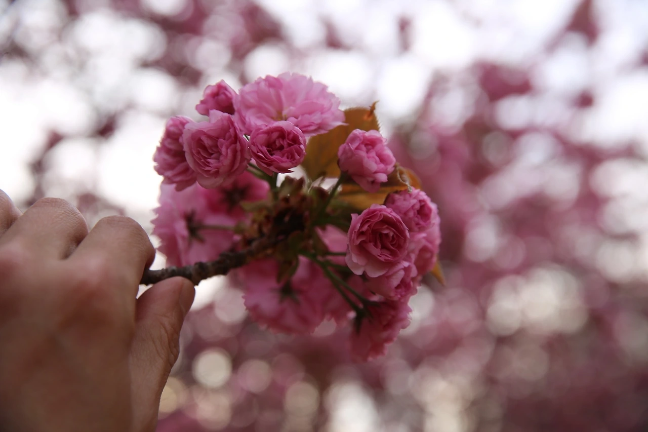 MG0A9552_новый размер.JPG