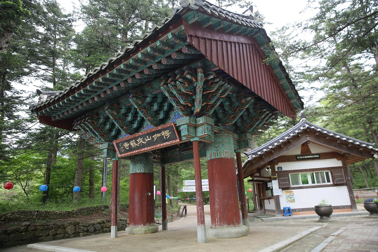 MG0A0567_новый размер.JPG