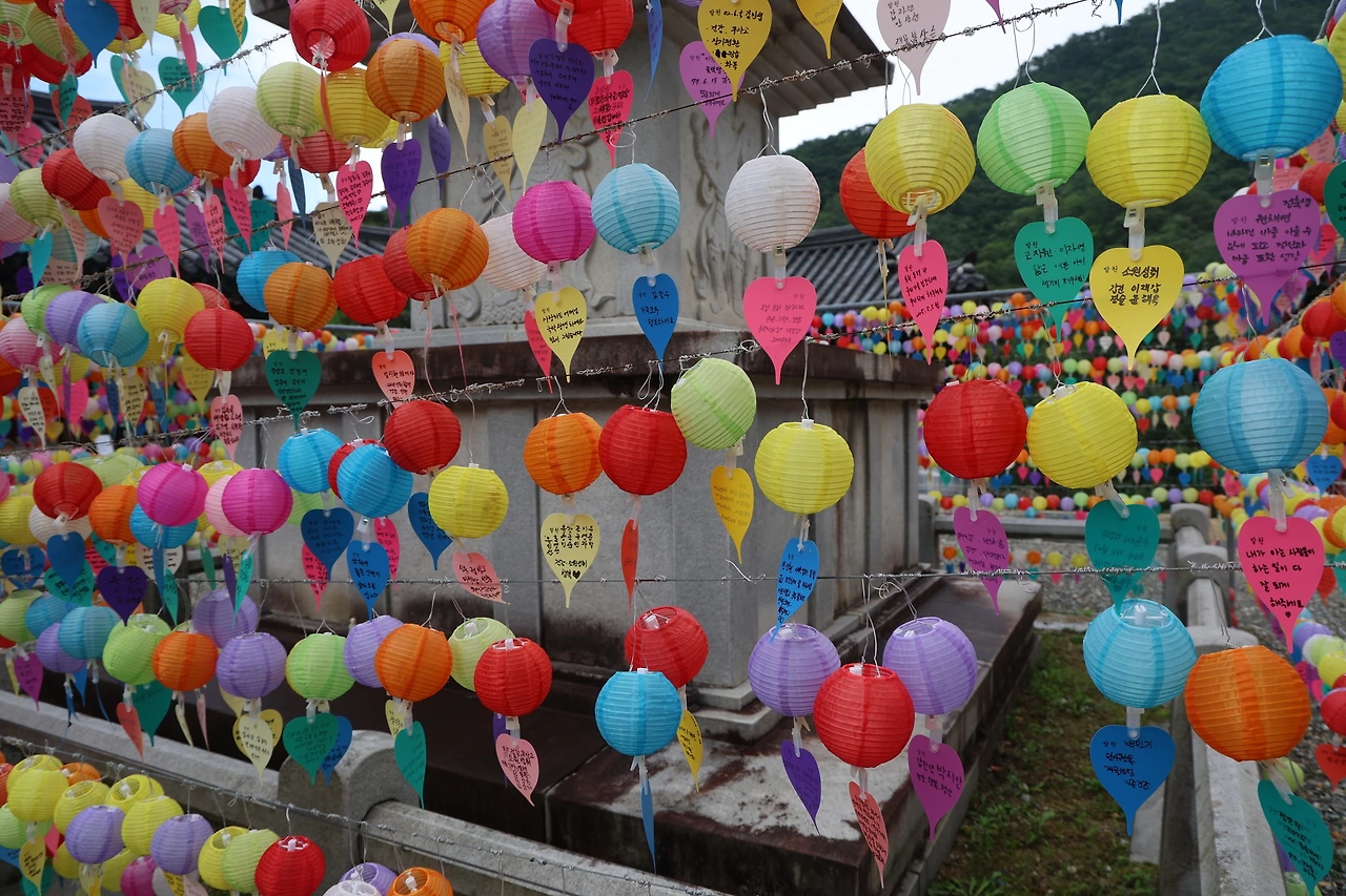 0R5A7617_новый размер.JPG