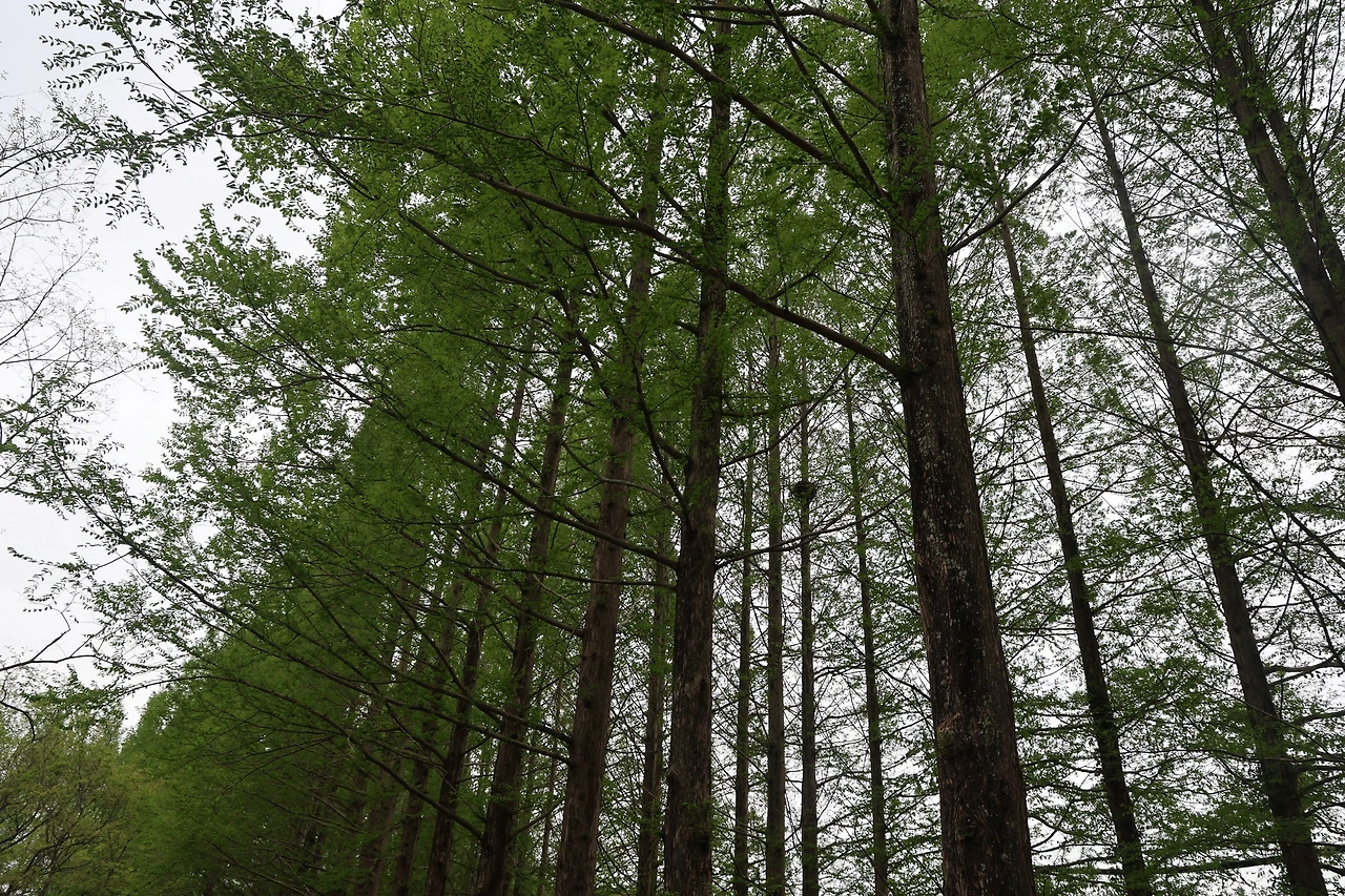 0R5A7599_новый размер.JPG