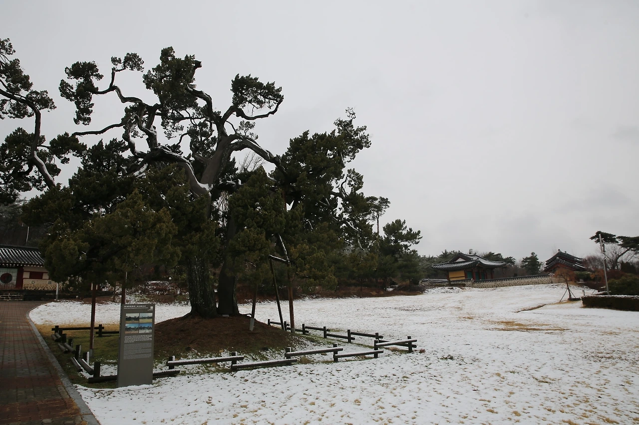 MG0A0639_новый размер.JPG