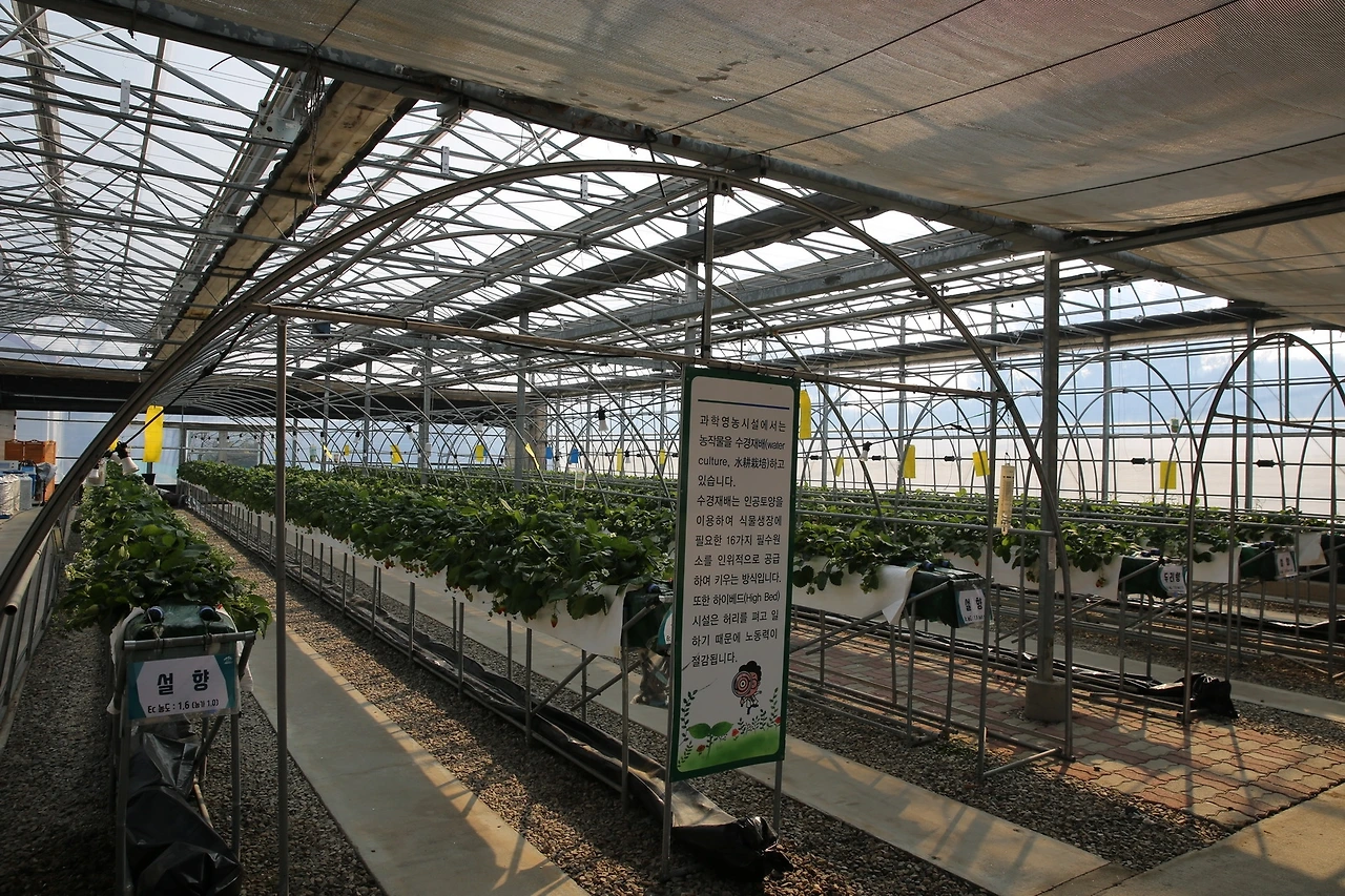 MG0A9426_новый размер.JPG