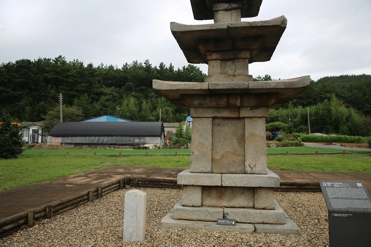 MG0A2471_новый размер.JPG