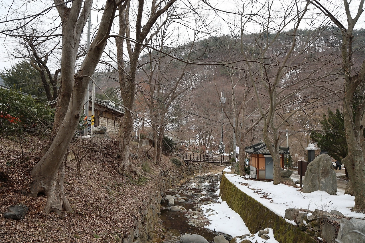 0R5A9565_новый размер.JPG