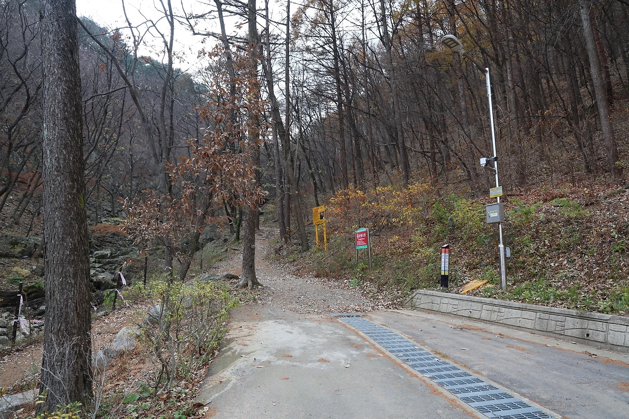 0R5A3090_новый размер.JPG