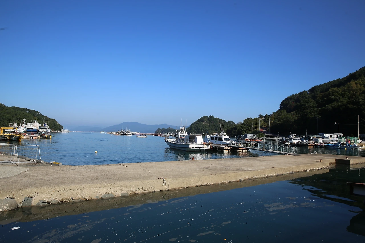 MG0A9094_новый размер.JPG