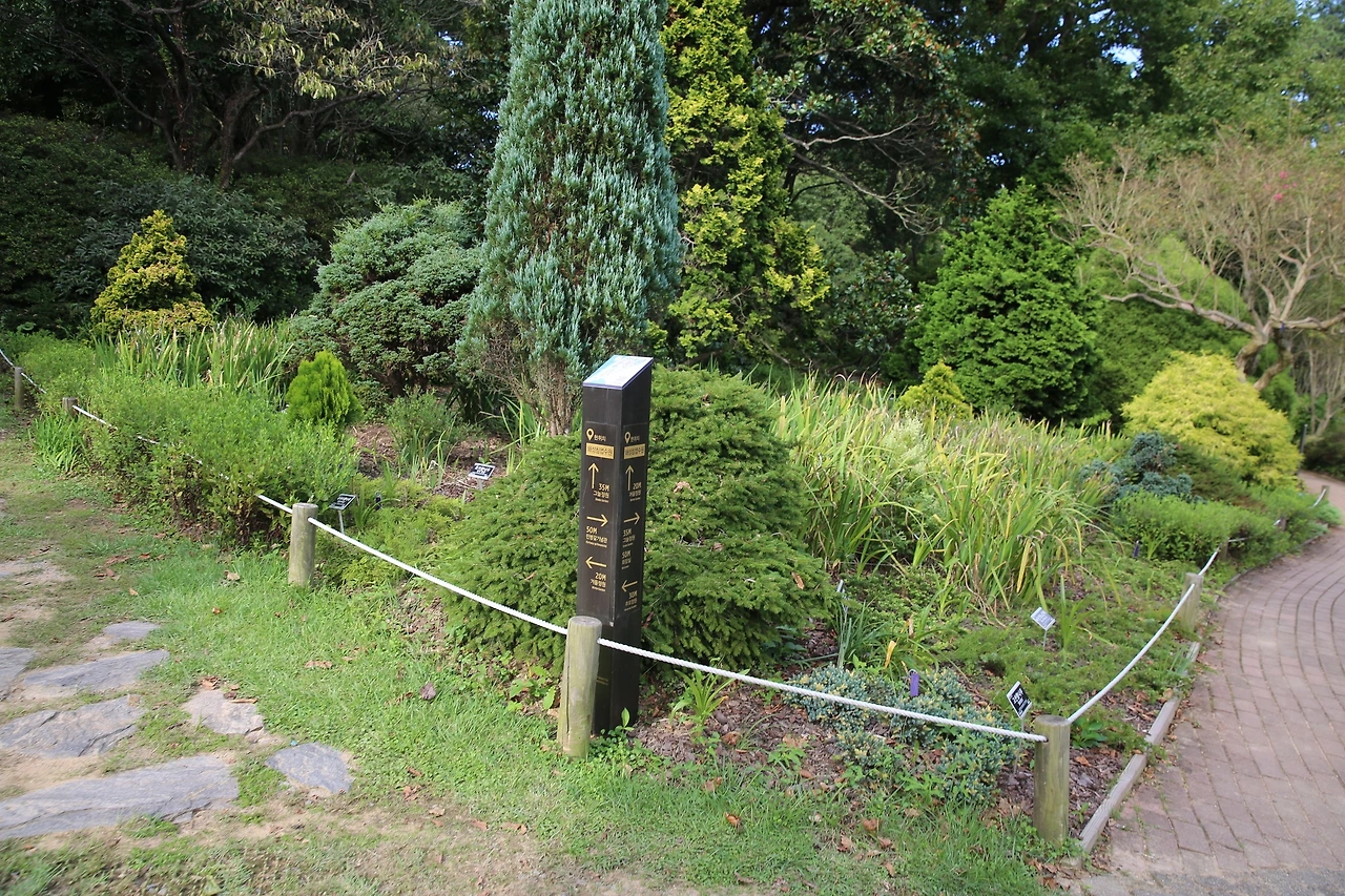 MG0A1389_новый размер.JPG