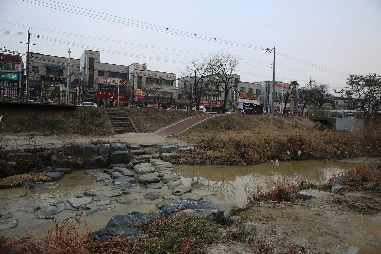 MG0A5582_новый размер.JPG