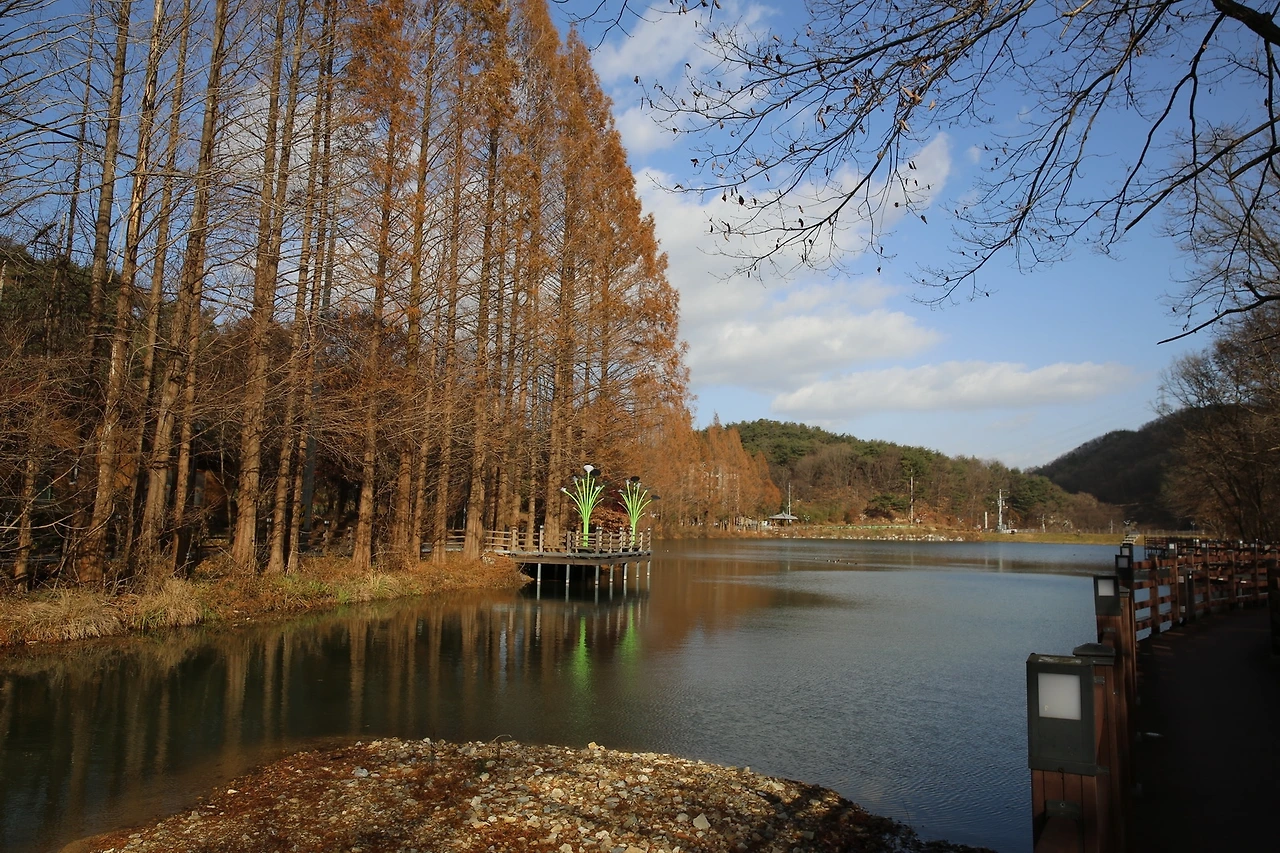 MG0A3676_новый размер.JPG