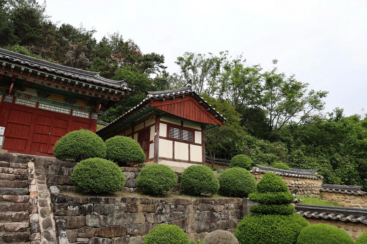 0R5A4358_новый размер.JPG