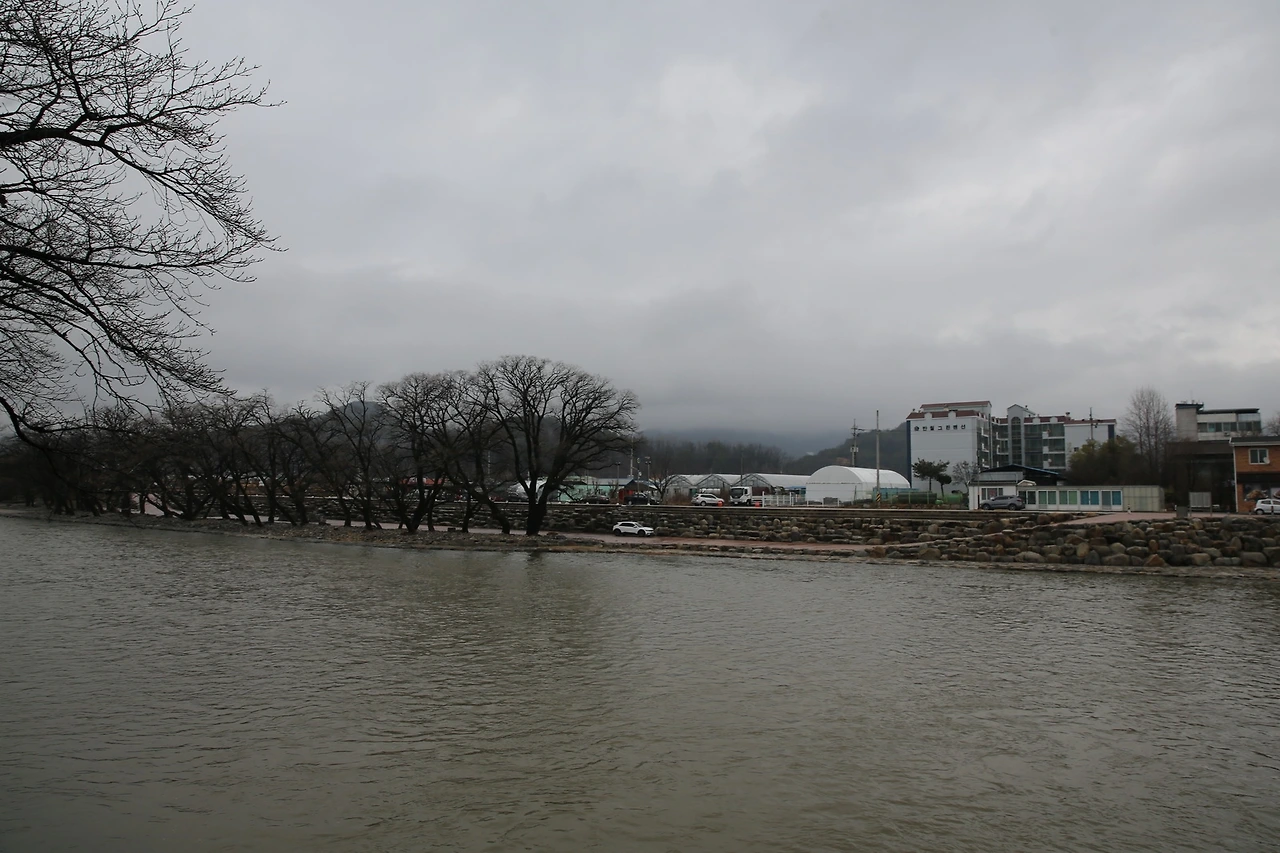 MG0A0358_новый размер.JPG