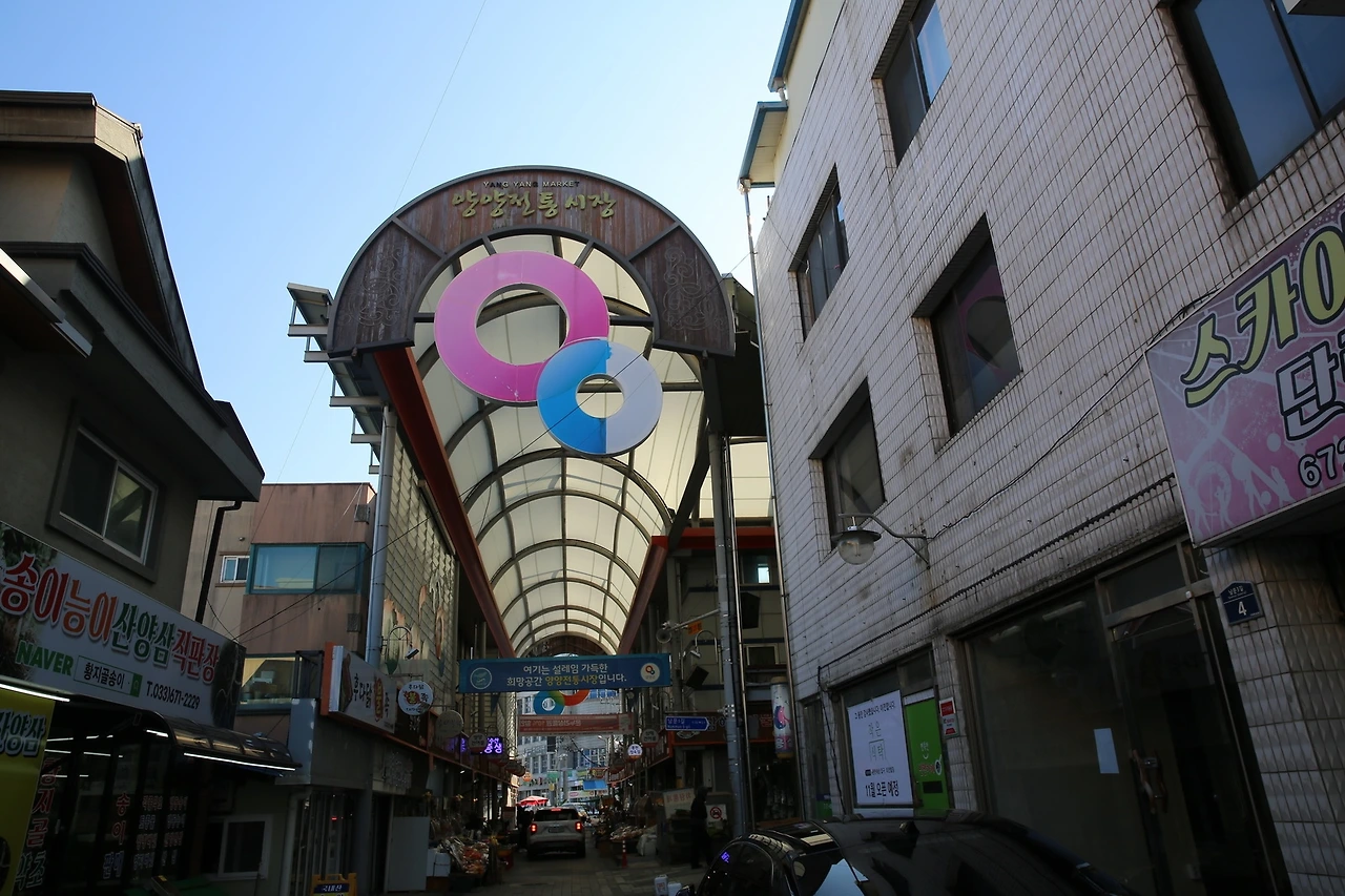 MG0A6462_новый размер.JPG