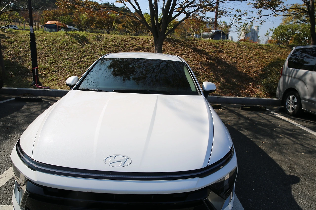 MG0A8161_новый размер.JPG