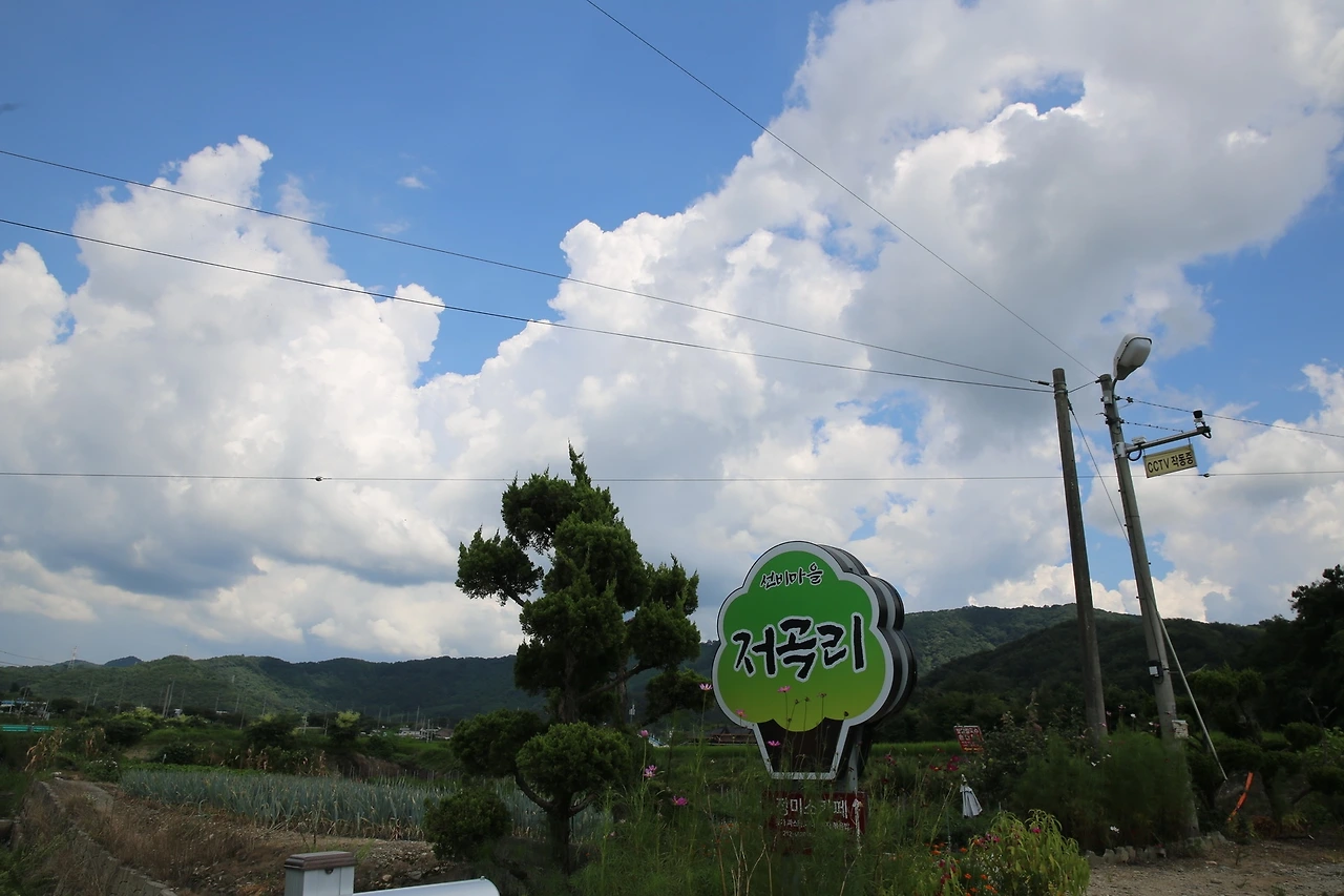 MG0A7872_новый размер.JPG