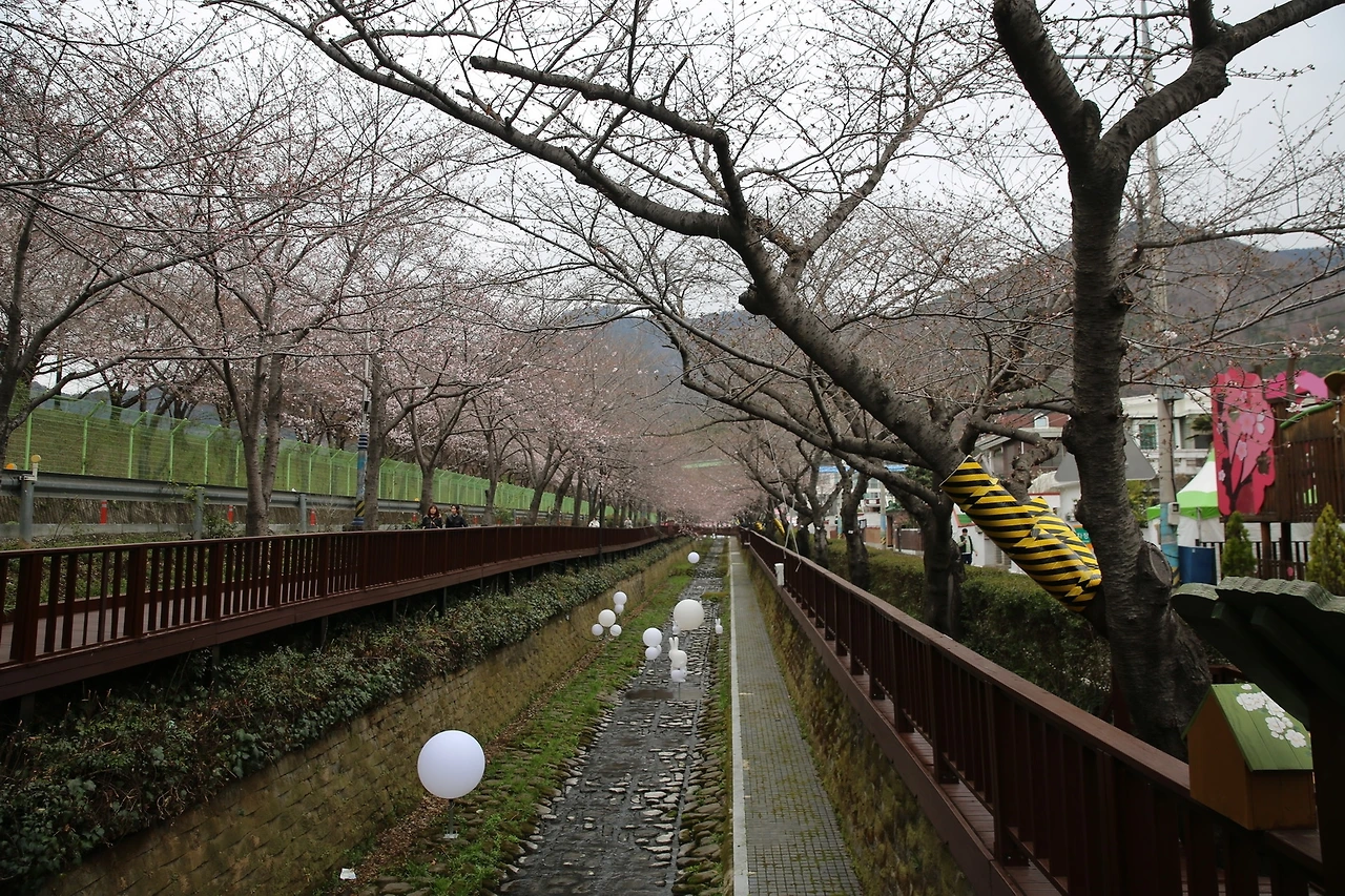 MG0A6246_новый размер.JPG