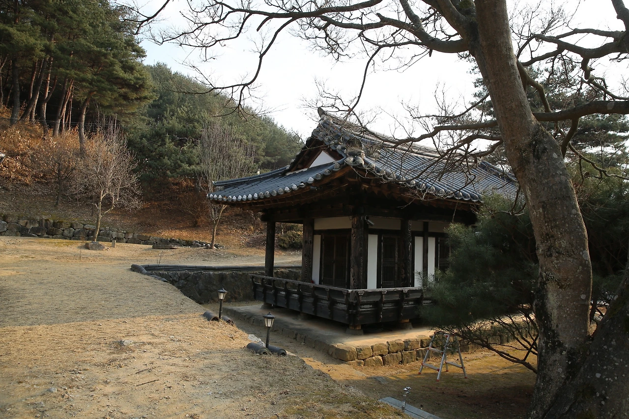 MG0A6373_новый размер.JPG