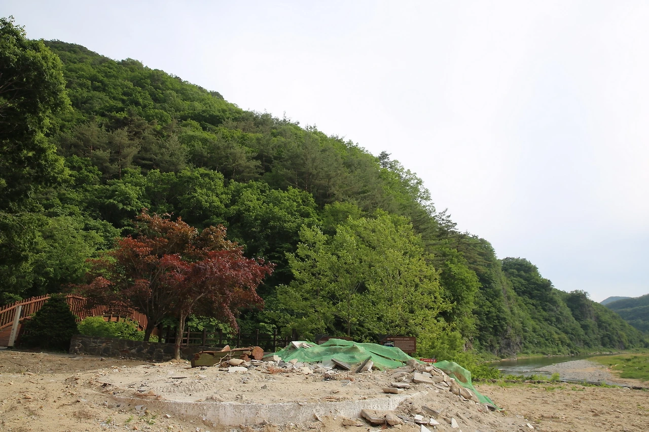 MG0A9874_новый размер.JPG