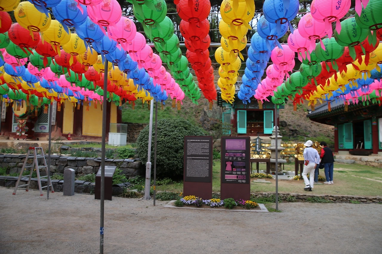 MG0A9543_новый размер.JPG