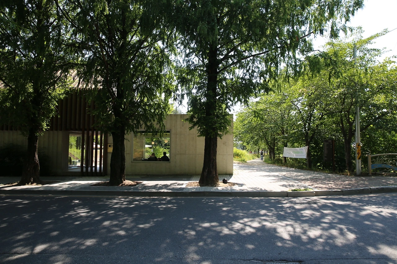 MG0A8864_новый размер.JPG