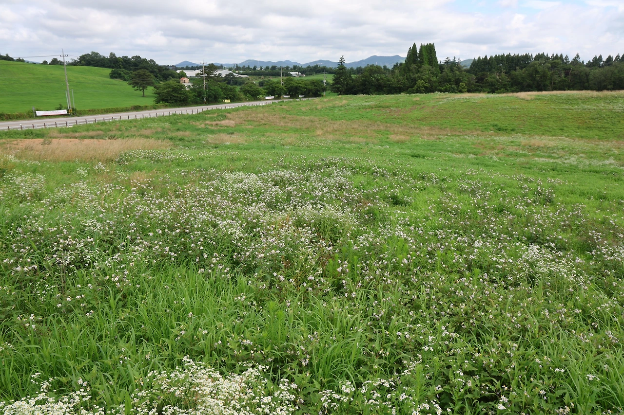 0R5A7201_новый размер.JPG