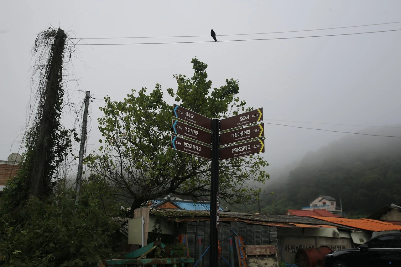 MG0A3549_новый размер.JPG