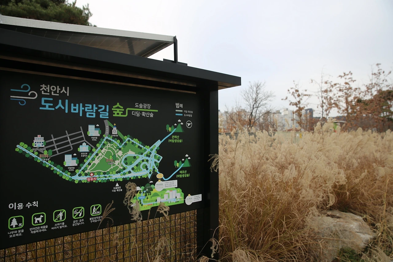 MG0A4460_новый размер.JPG