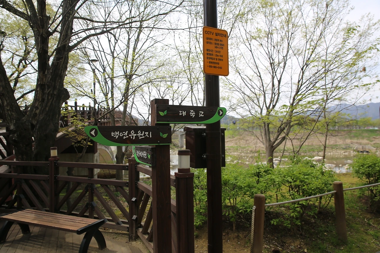 MG0A9146_новый размер.JPG