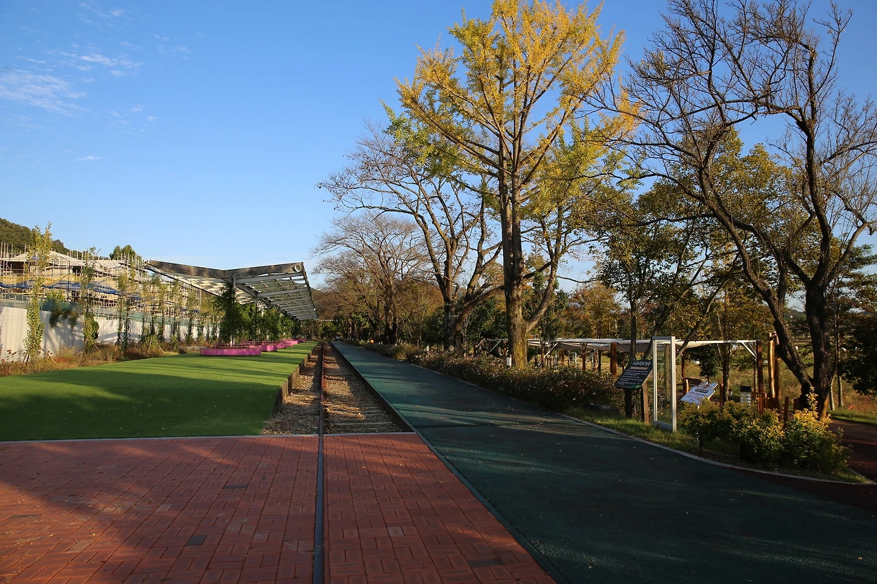 MG0A8052_новый размер.JPG