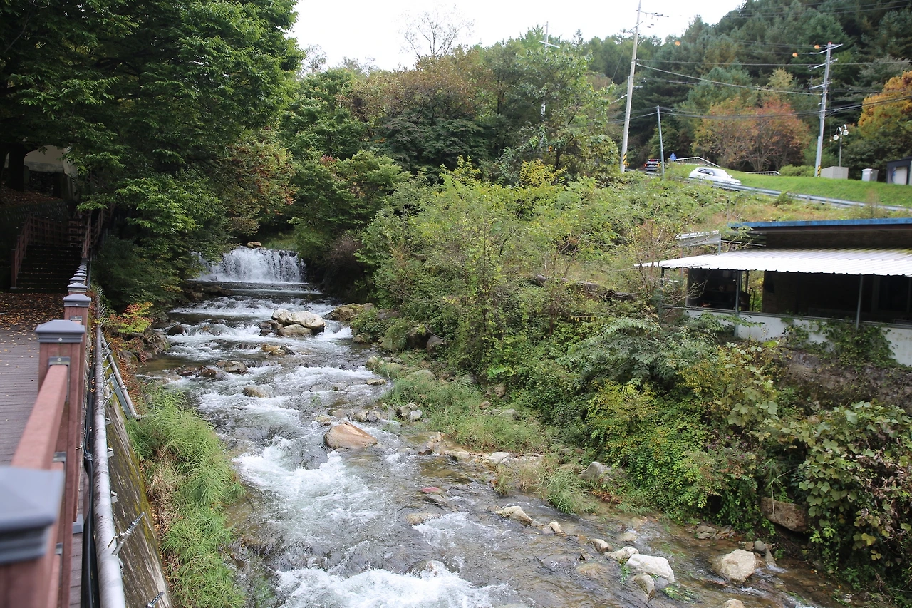 MG0A6321_новый размер.JPG