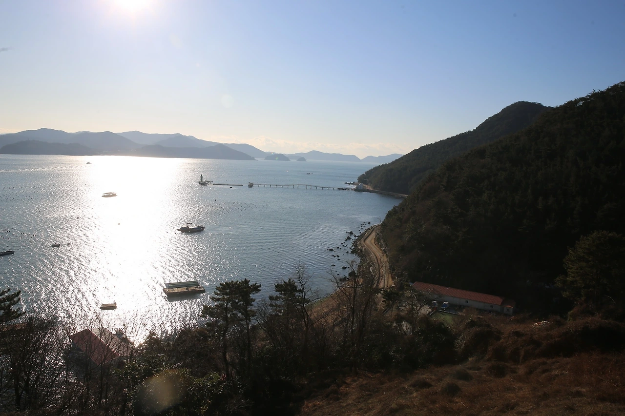 MG0A4580_новый размер.JPG