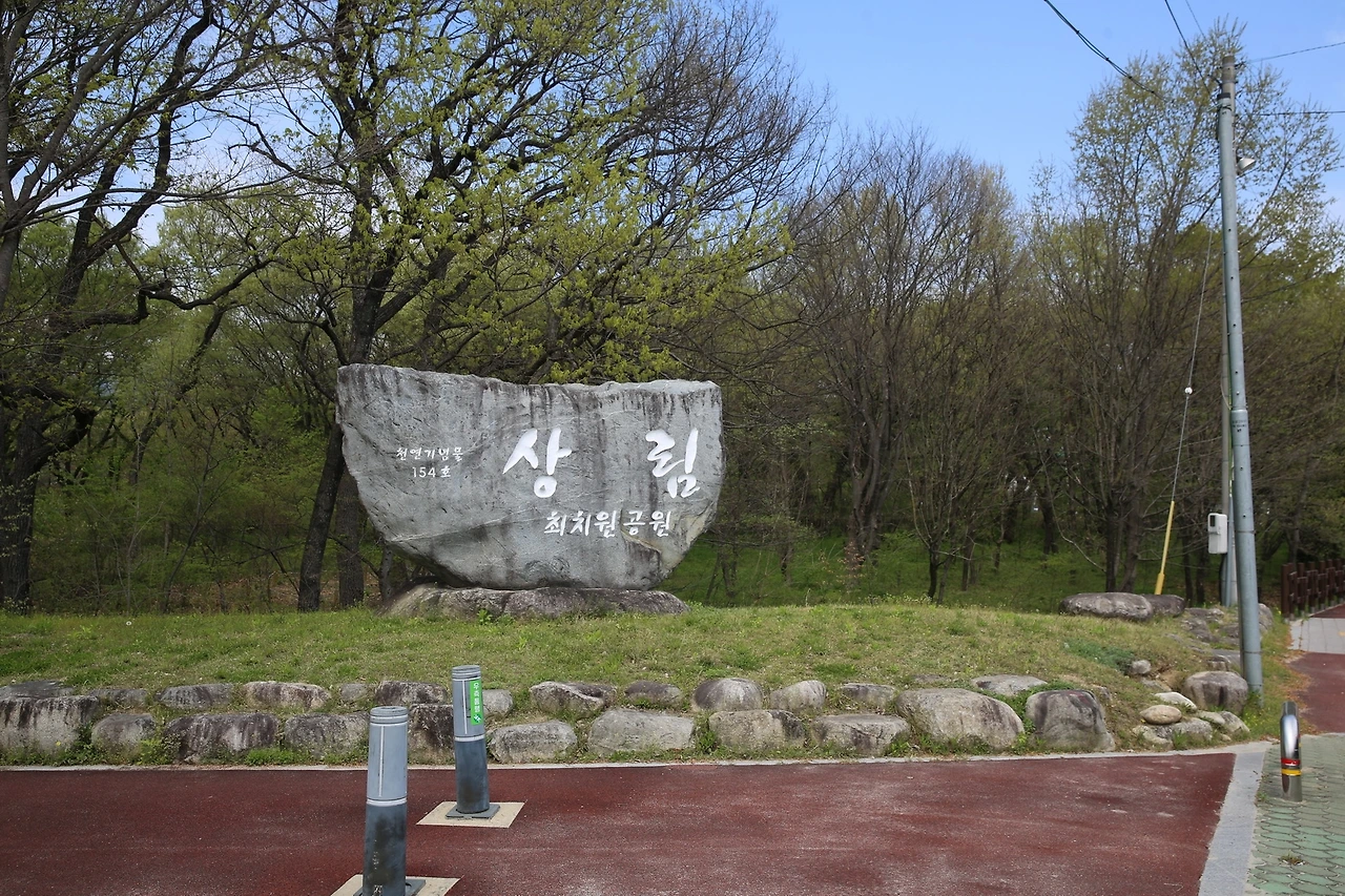 MG0A9133_новый размер.JPG