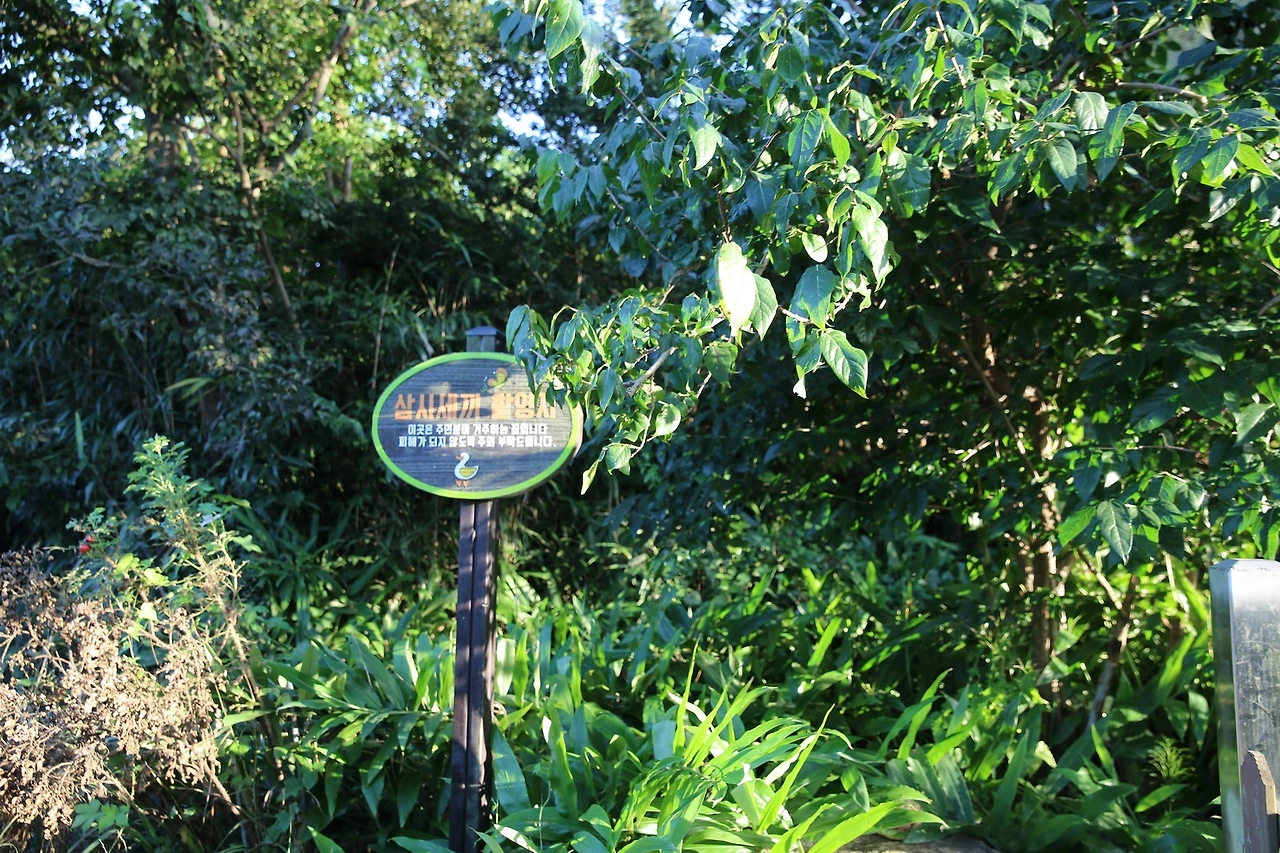 MG0A1374_новый размер.JPG