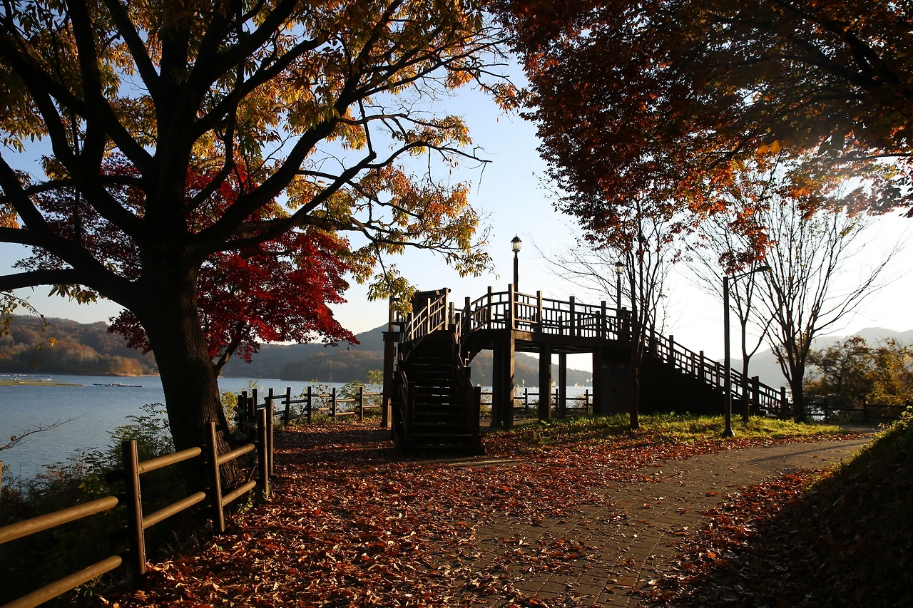 MG0A1382_новый размер.JPG